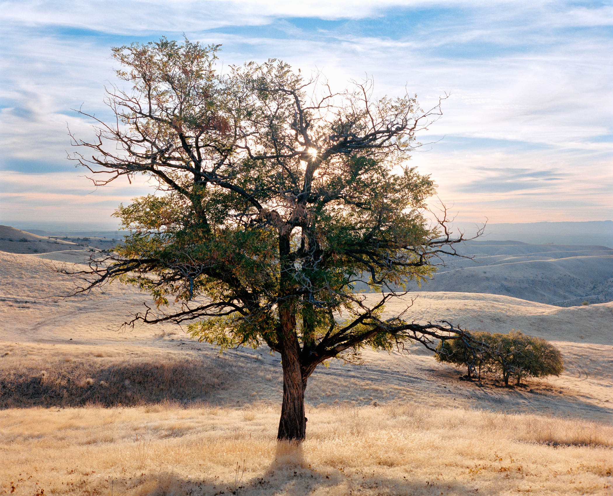 Foothills landscape