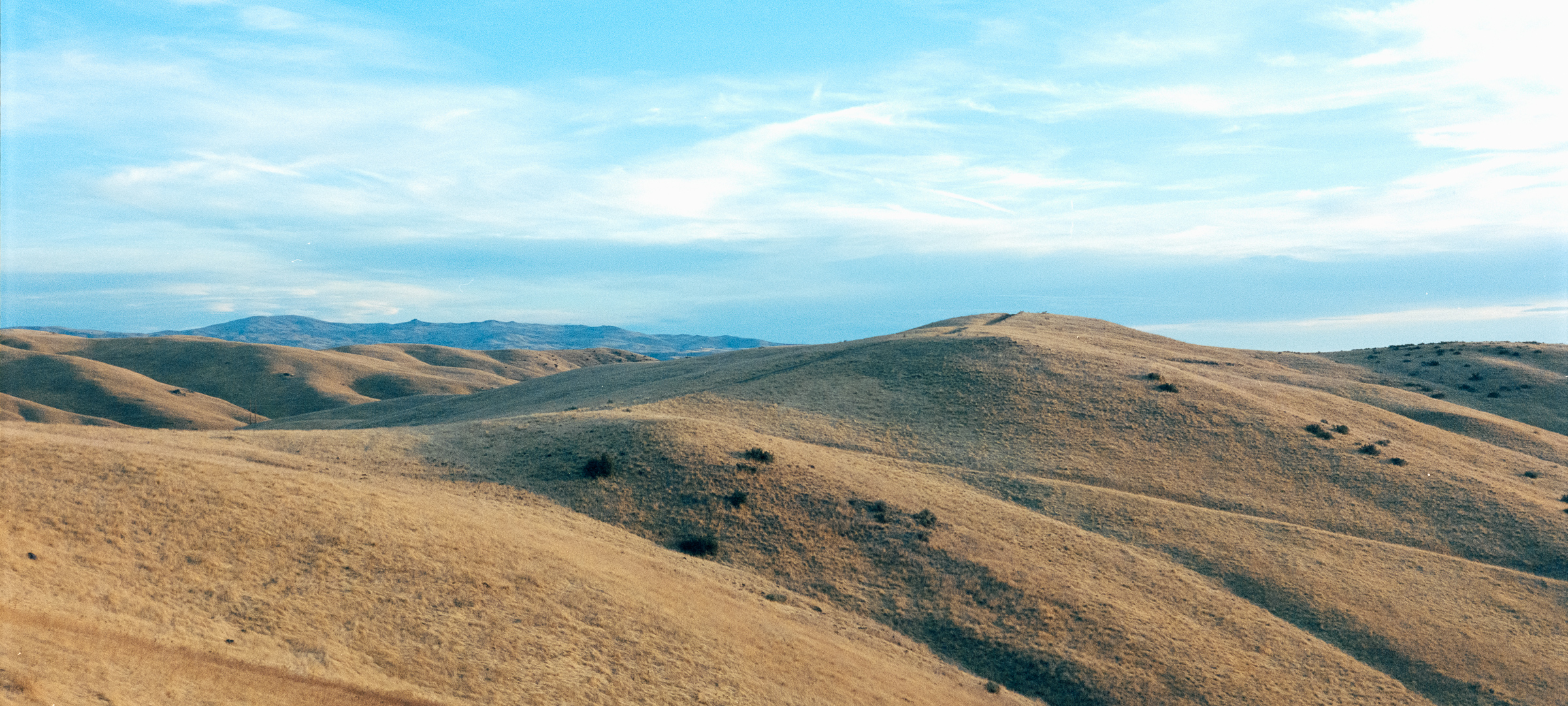 Foothills Action Network